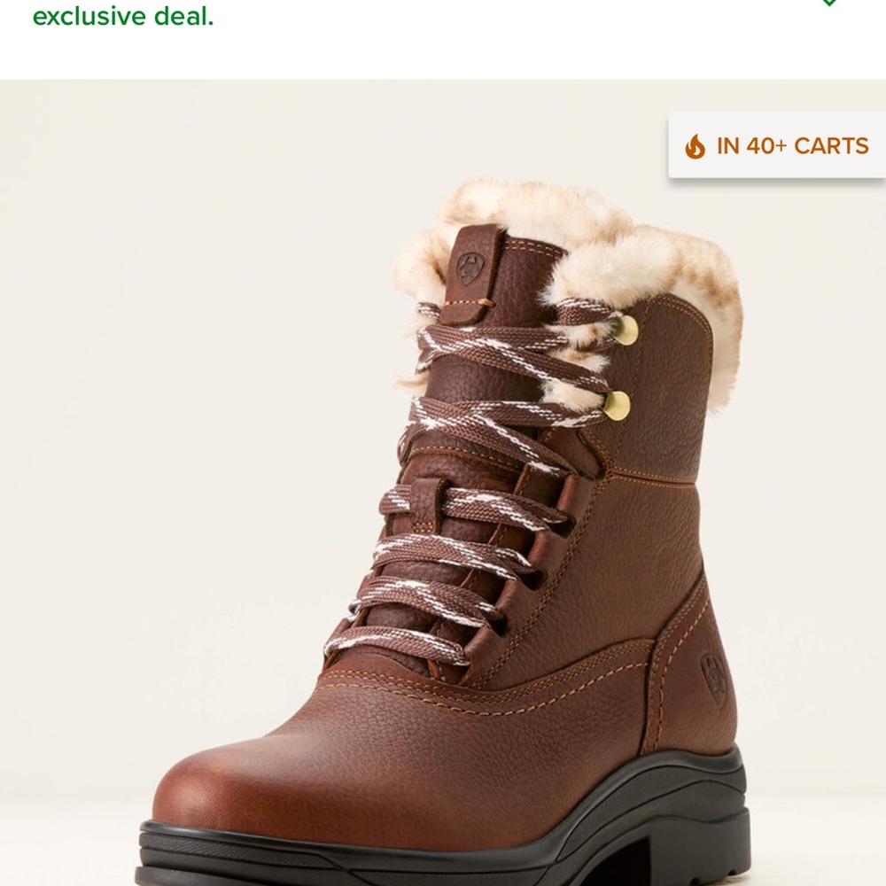 Ariat Women's Tan Winter Boots with Fur Lining